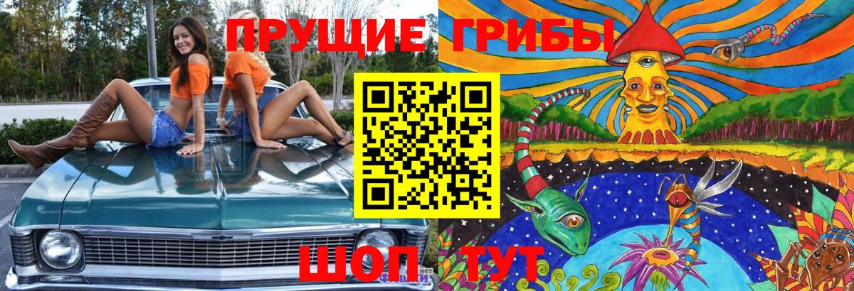 Рославль  наркошоп  Вход с VPN  Галлюциногенные грибы мицелий  Галлюциногенные грибы Psilocybe 