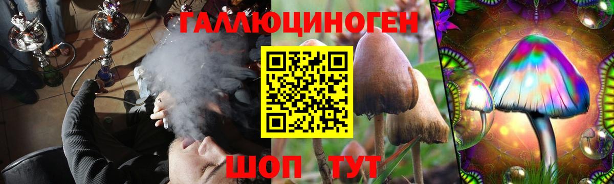 Галлюциногенные грибы Cubensis Рославль